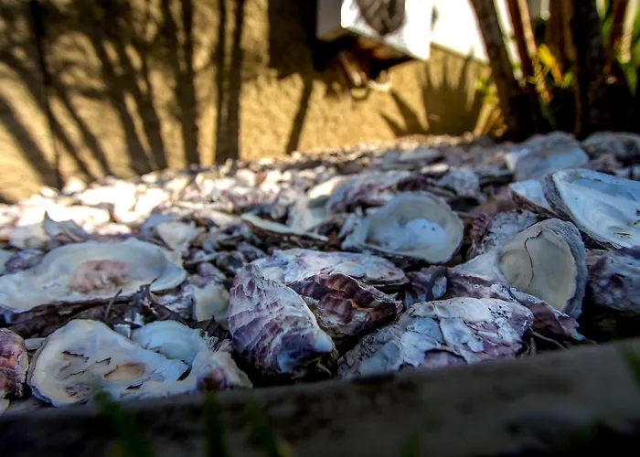 Pousada Porto Do Arvoredo Florianópolis